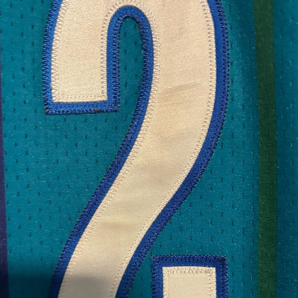 1992-93 Mitchell & Ness Charlotte Hornets Larry Johnson Hardwood Classics Jersey - Picture 4 of 10